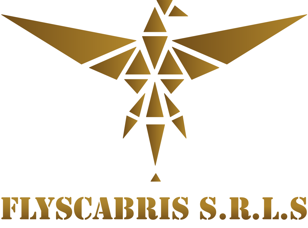 Flyscabris